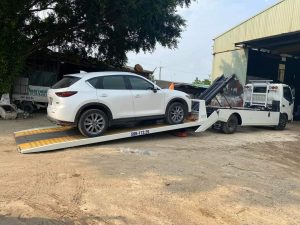 Cứu Hộ Đồng Nai