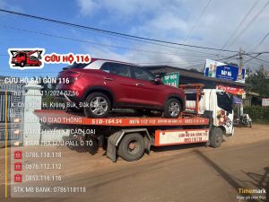 Cứu Hộ Bình Tân